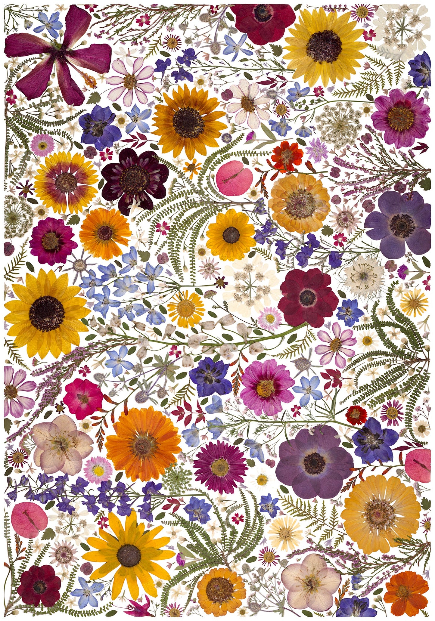 Art Print - Botanist