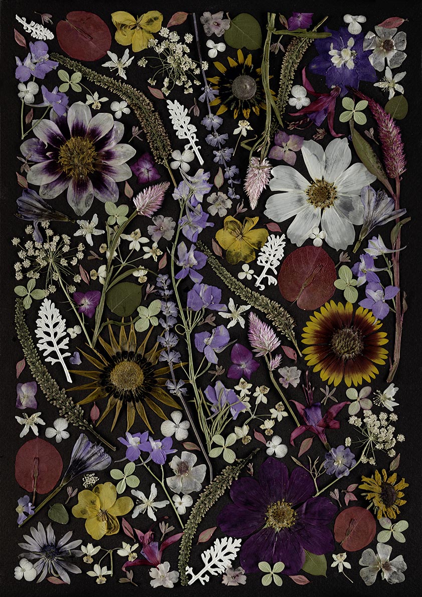 Art Print - Black Magic