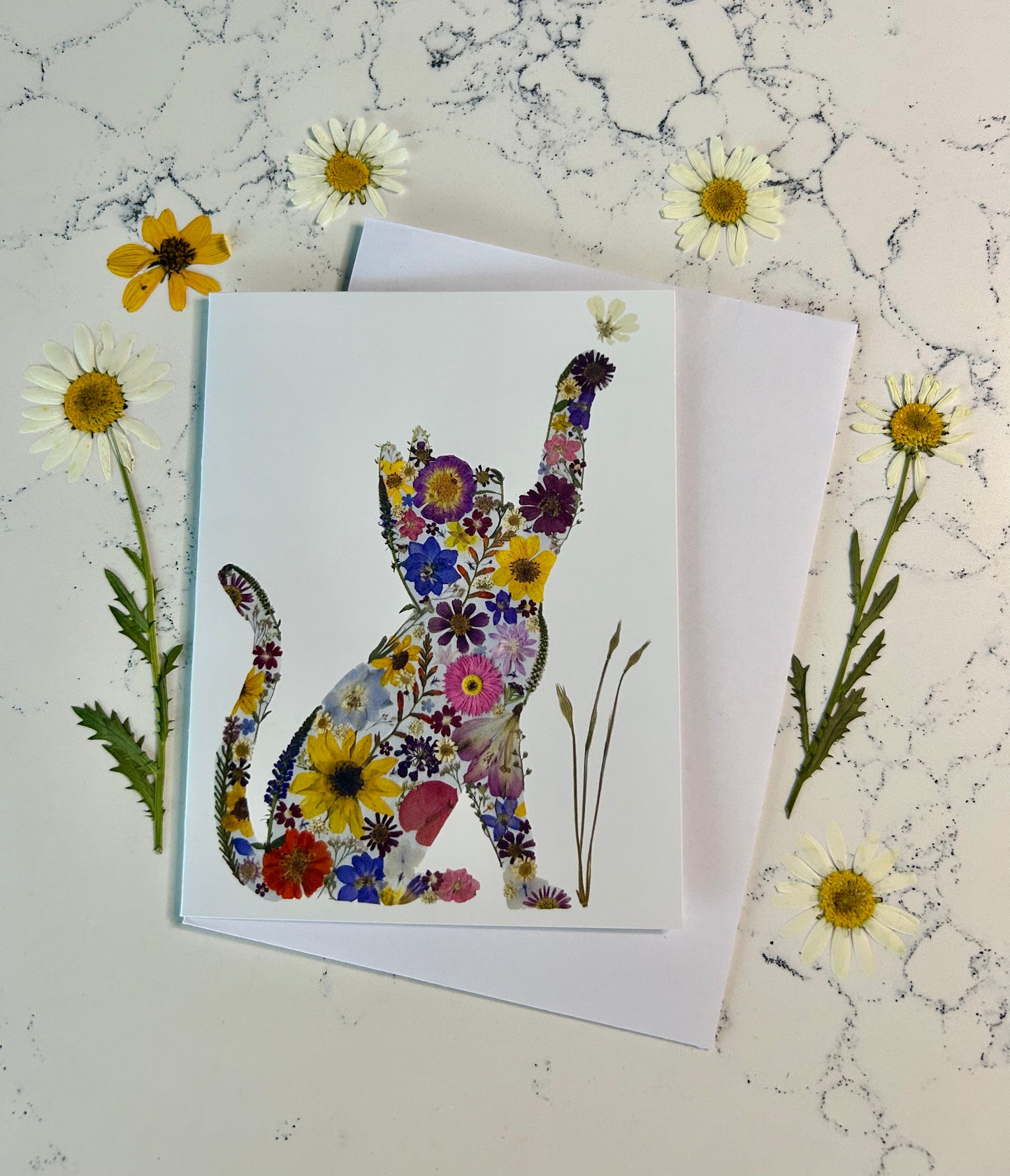 Card - Cat