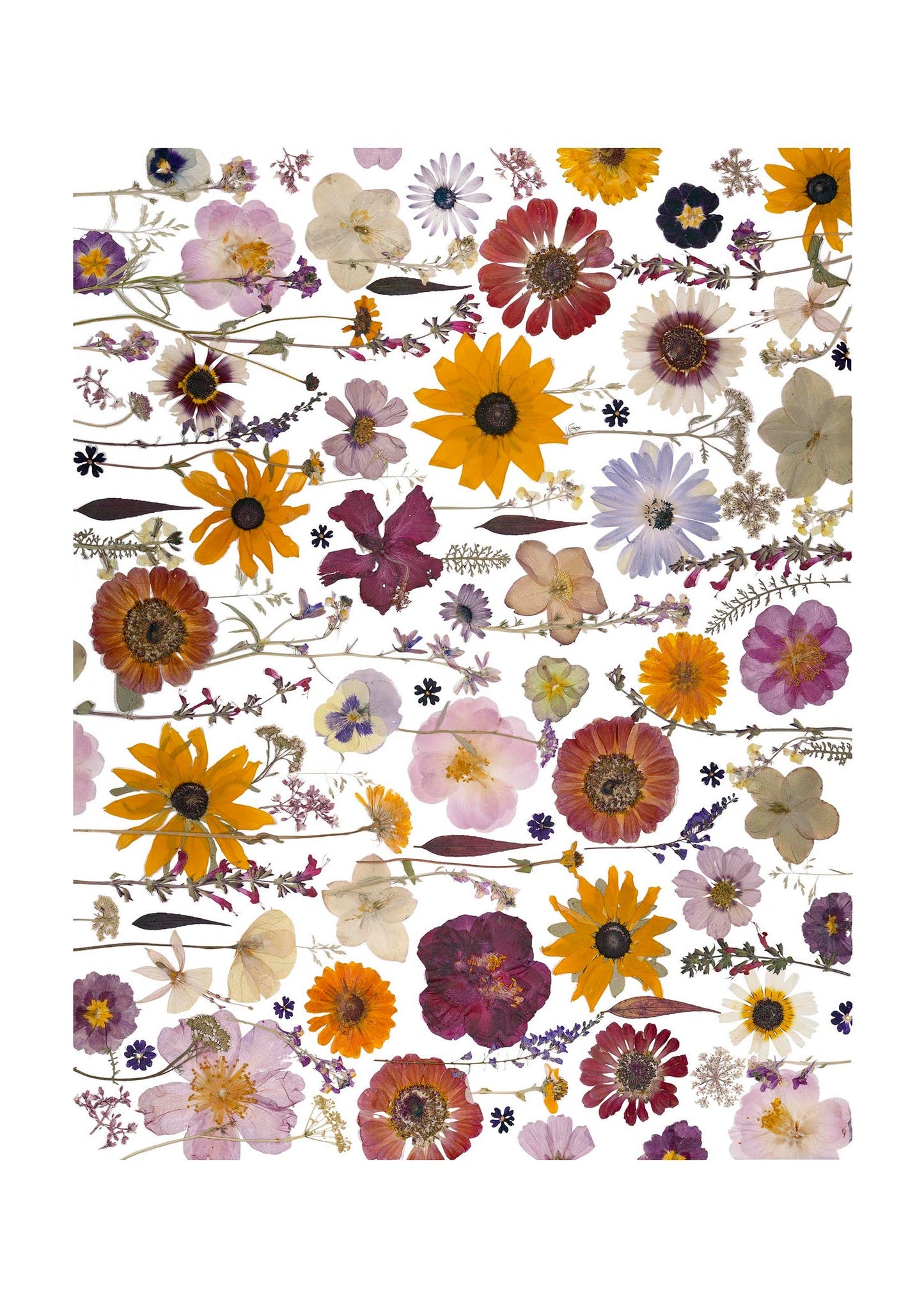 Art Print - Garden Fiesta