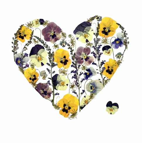 Card - Pansy Heart