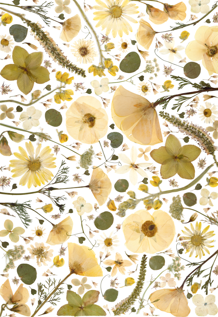 Art Print - Sandy Shades