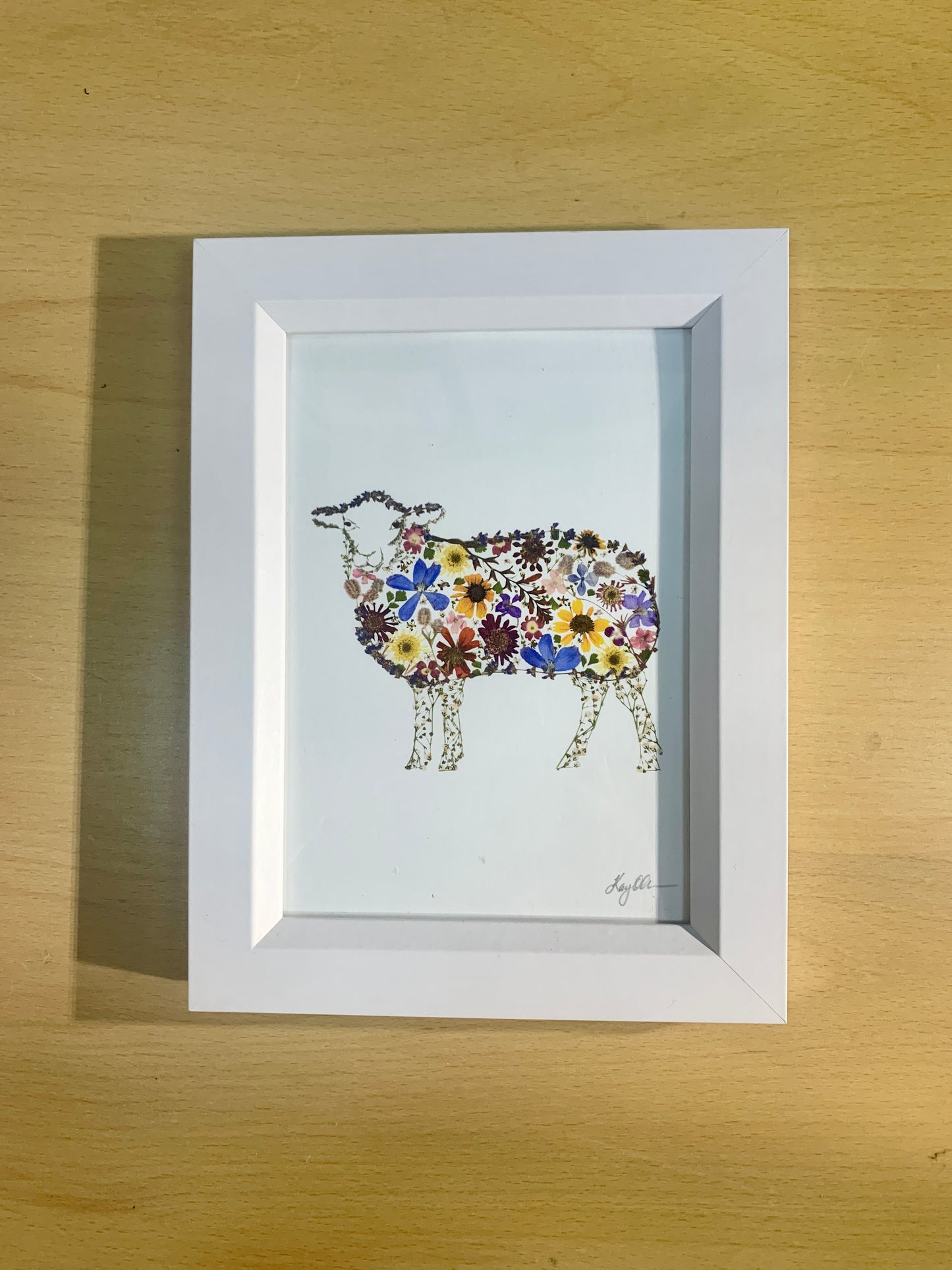 13cmx18cm framed print - Sheep - New for 2026