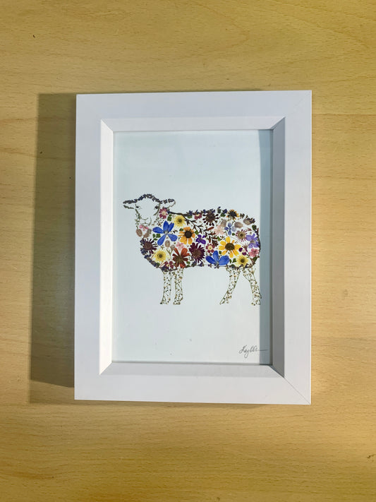 13cmx18cm framed print - Sheep - New for 2026