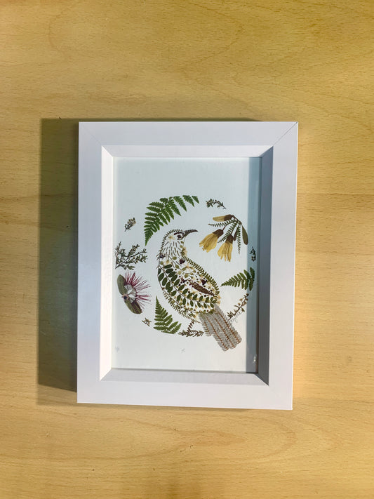 13cmx18cm framed print  - Tui