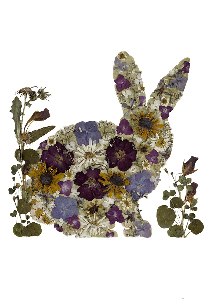 Art Print - Rabbit