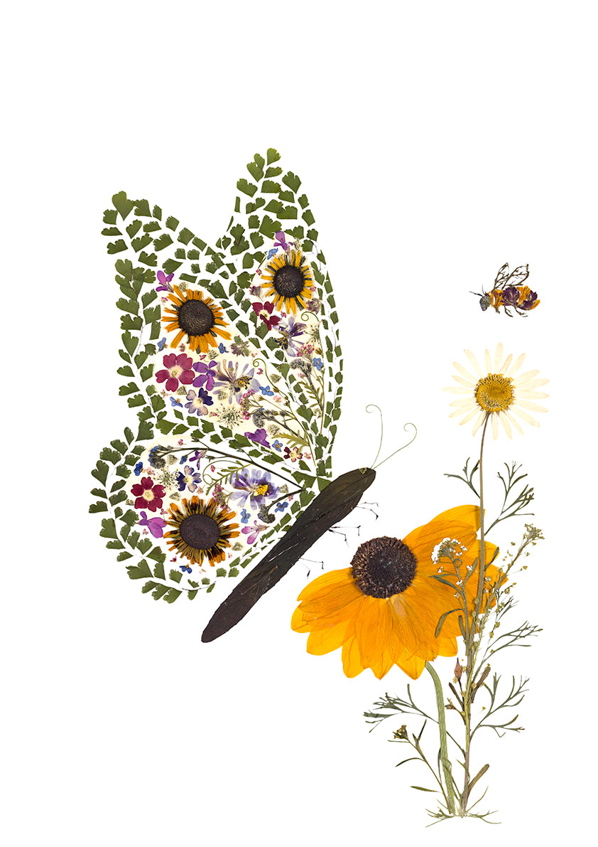 Card - Pollinators - New for 2026