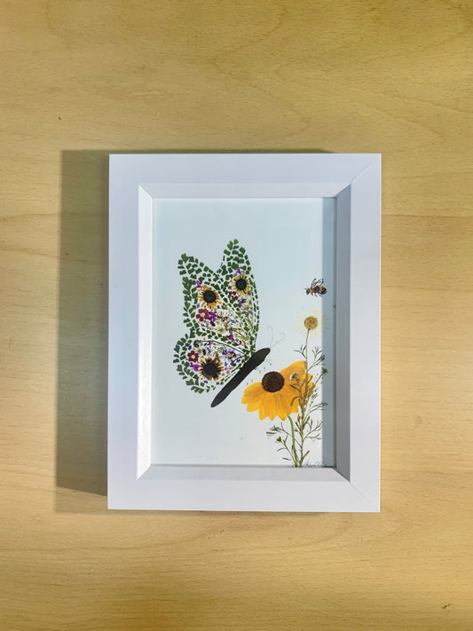 13cmx18cm Framed print -Butterfly  - New for 2026