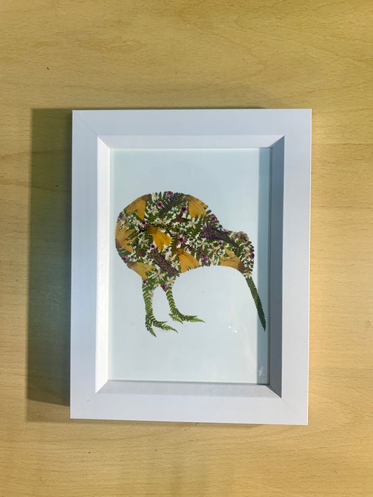 13cmx18cm framed print  - Kiwi