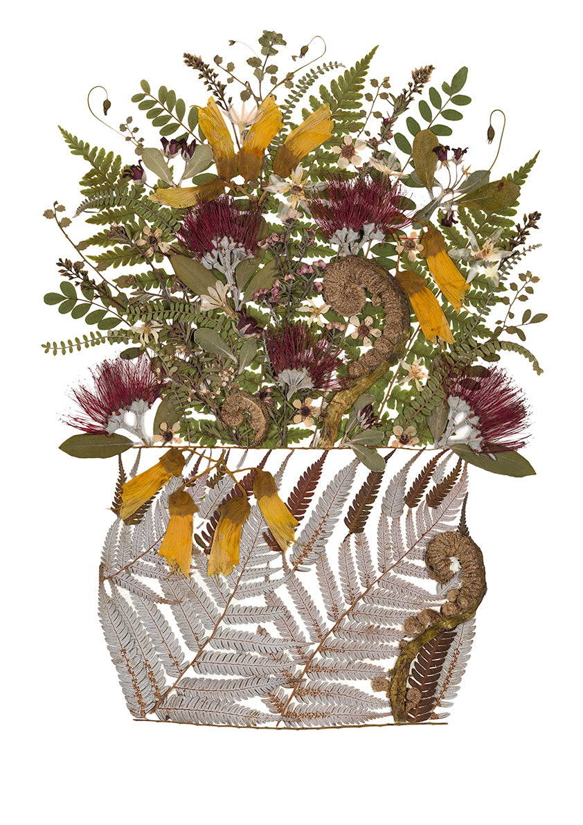 Art Print - NZ native flora Kite - New for 2026
