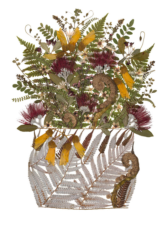 Art Print - NZ native flora Kite - New for 2026