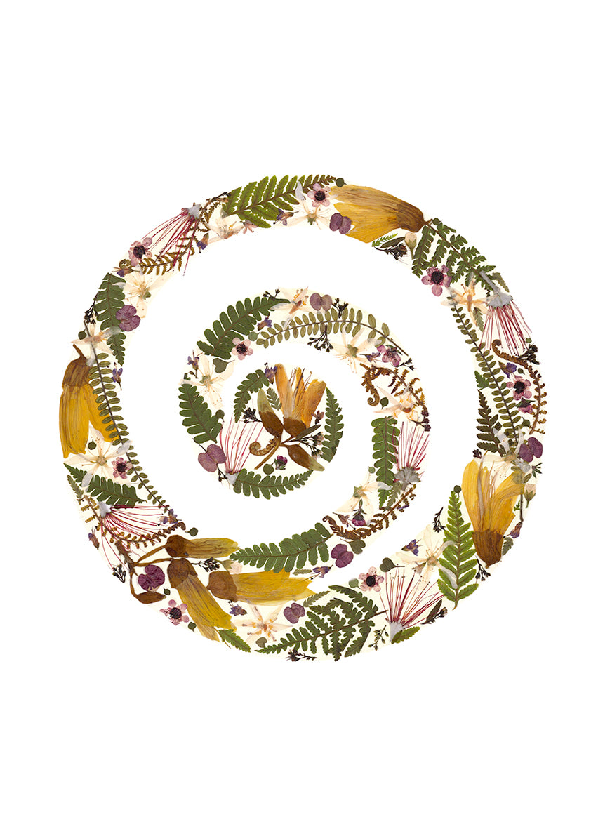 Art Print - Koru in NZ natives