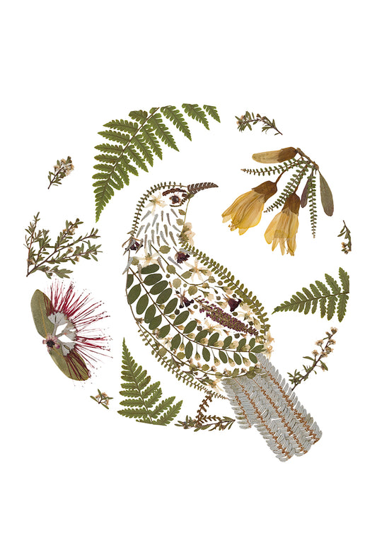 Art Print - Tui - New 2025