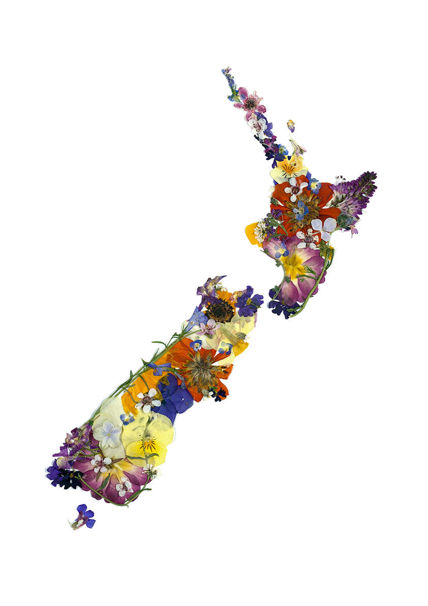 Art Prints - NZ in flowers